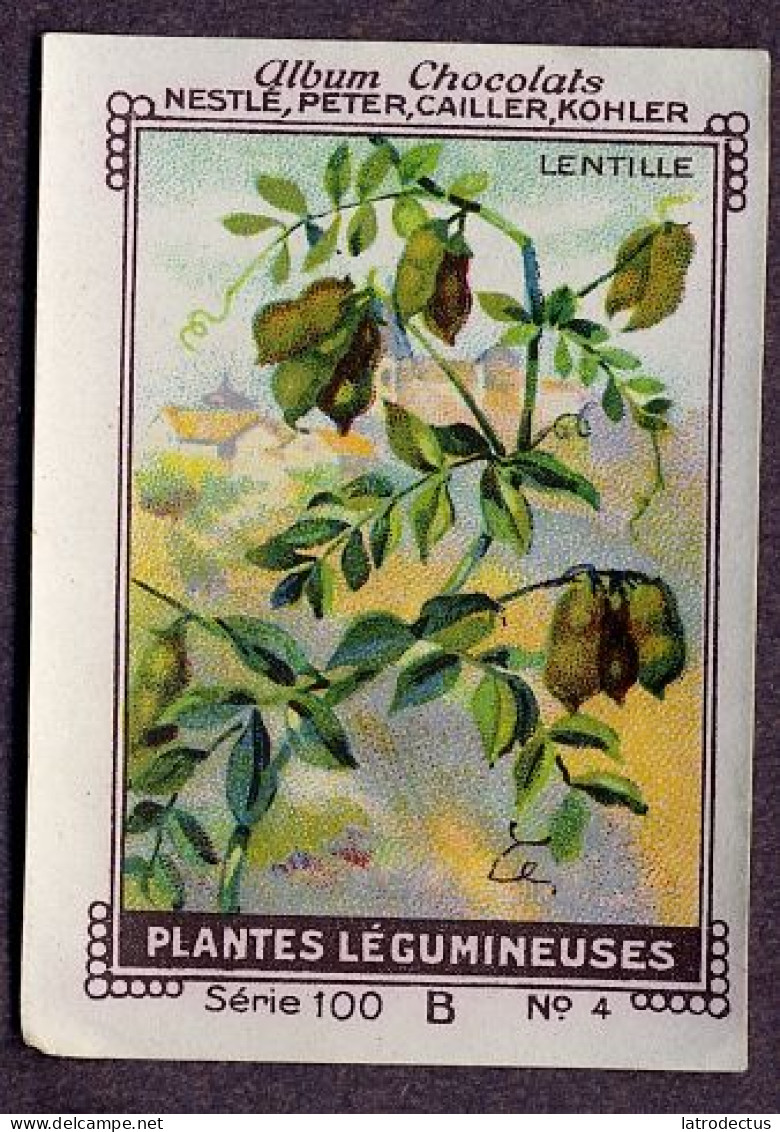 Nestlé - 100B - Plantes Légumineuses, Fabaceae, Leguminosae, Papilionaceae - 4 - Lentille, Lens, Lentil - Nestlé