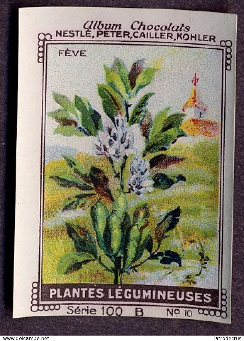 Nestlé - 100B - Plantes Légumineuses, Fabaceae, Leguminosae, Papilionaceae - 10 - Fève, Bean - Nestlé