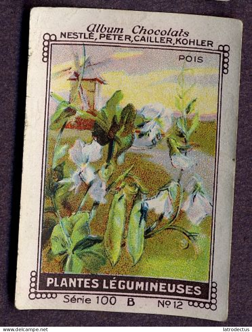 Nestlé - 100B - Plantes Légumineuses, Fabaceae, Leguminosae, Papilionaceae - 12 - Pois, Peas - Nestlé