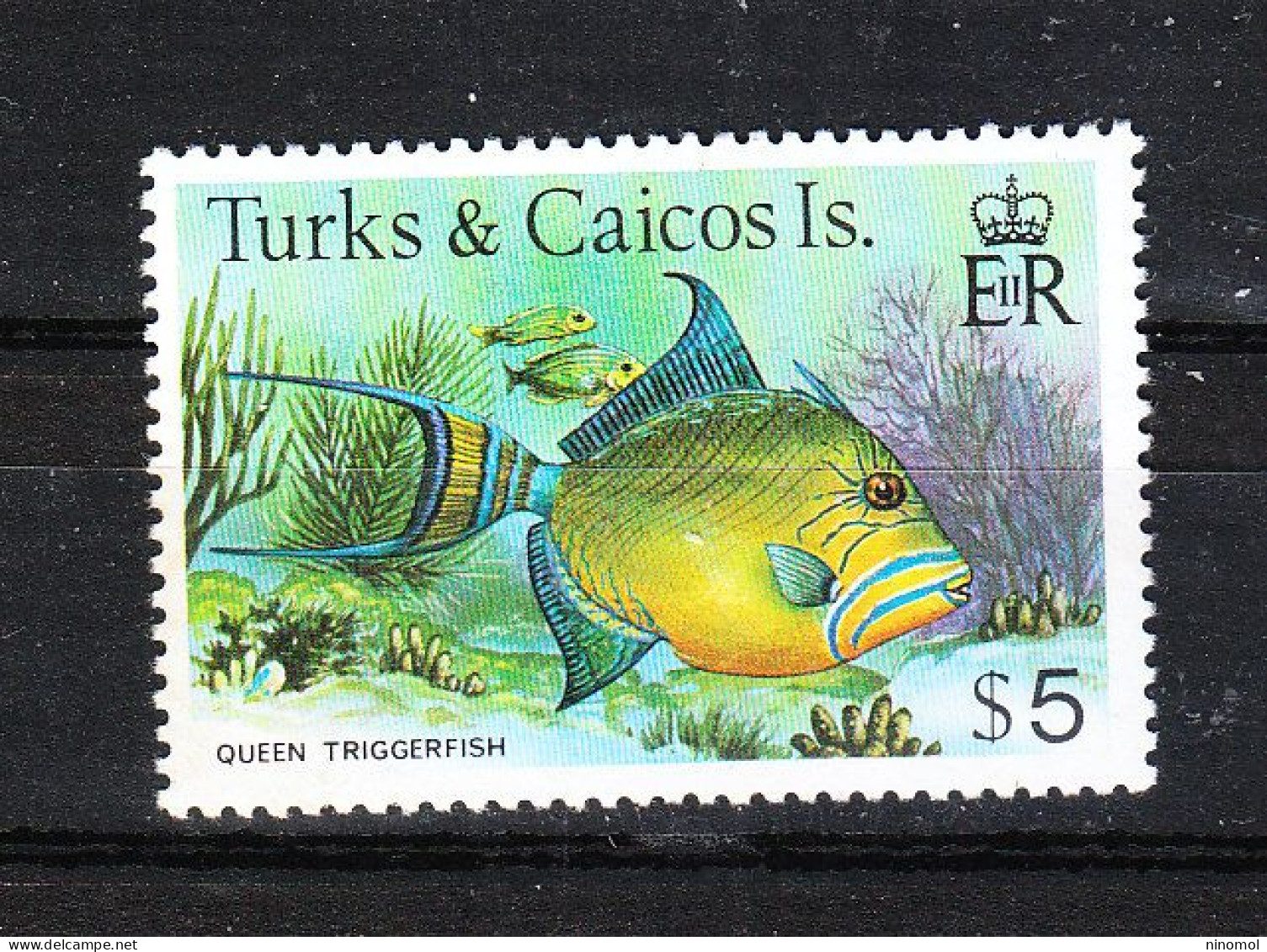 Turks & Caicos - 1979. Pesce Balestra. Queen Trigger Fish. Alto Valore Della Serie. High Value From The Series MNH - Fishes