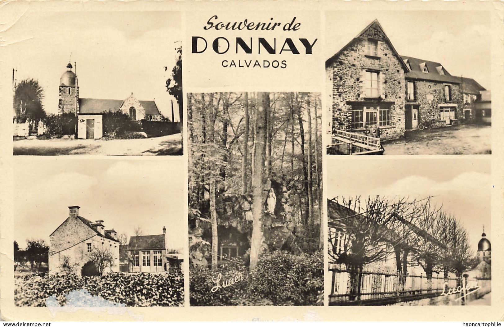 14 Souvenir De Donnay - Andere & Zonder Classificatie