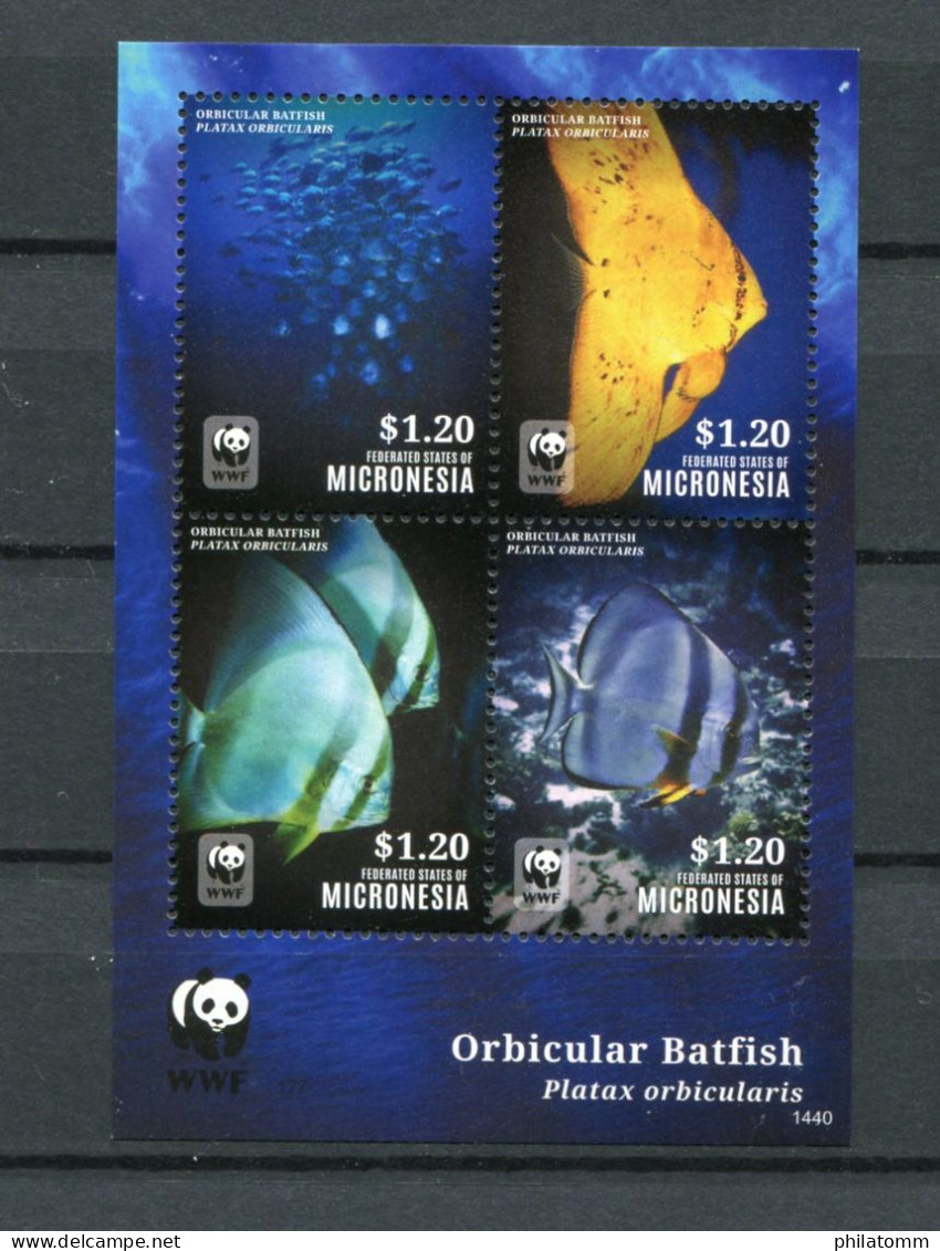 WWF - Mikronesien - Sonderblock "Rundkopf-Fledermausfisch" ** / MNH (aus Dem Jahr 2014) - Nuevos
