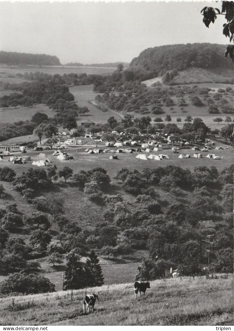 Ettelbruck  - Auto Caravaning Camping Situé Kalkesdelt - Ettelbruck