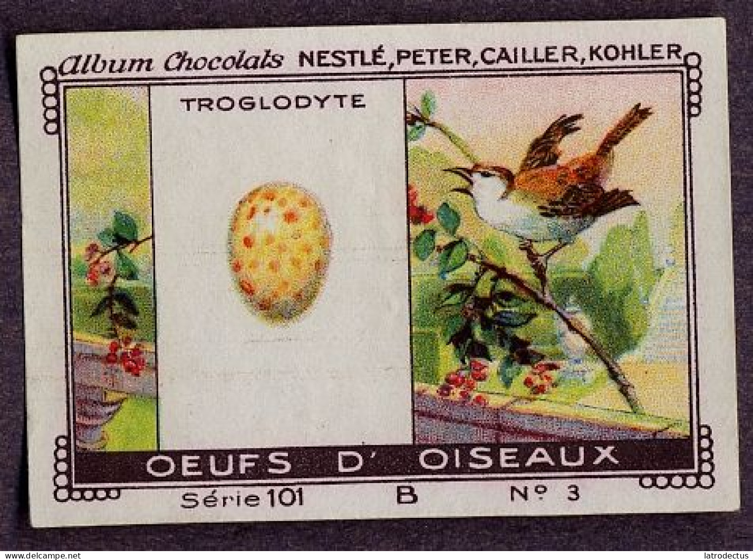 Nestlé - 101B - Oeufs D'oiseaux, Bird Eggs - 3 - Troglodyte, Eurasian Wren - Nestlé