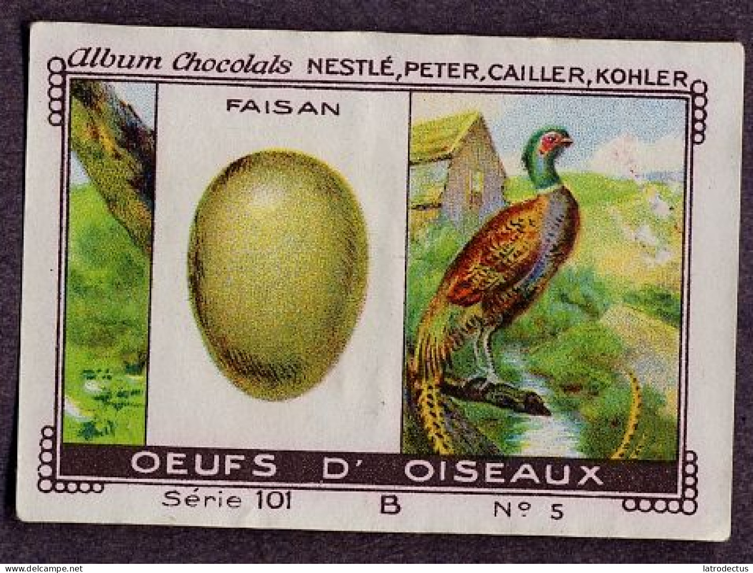 Nestlé - 101B - Oeufs D'oiseaux, Bird Eggs - 5 - Faisan, Pheasants - Nestlé