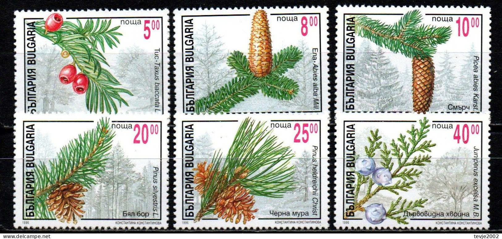 Bulgarien 1996 - Mi.Nr. 4208 - 4213 - Postfrisch MNH - Bäume Trees - Árboles