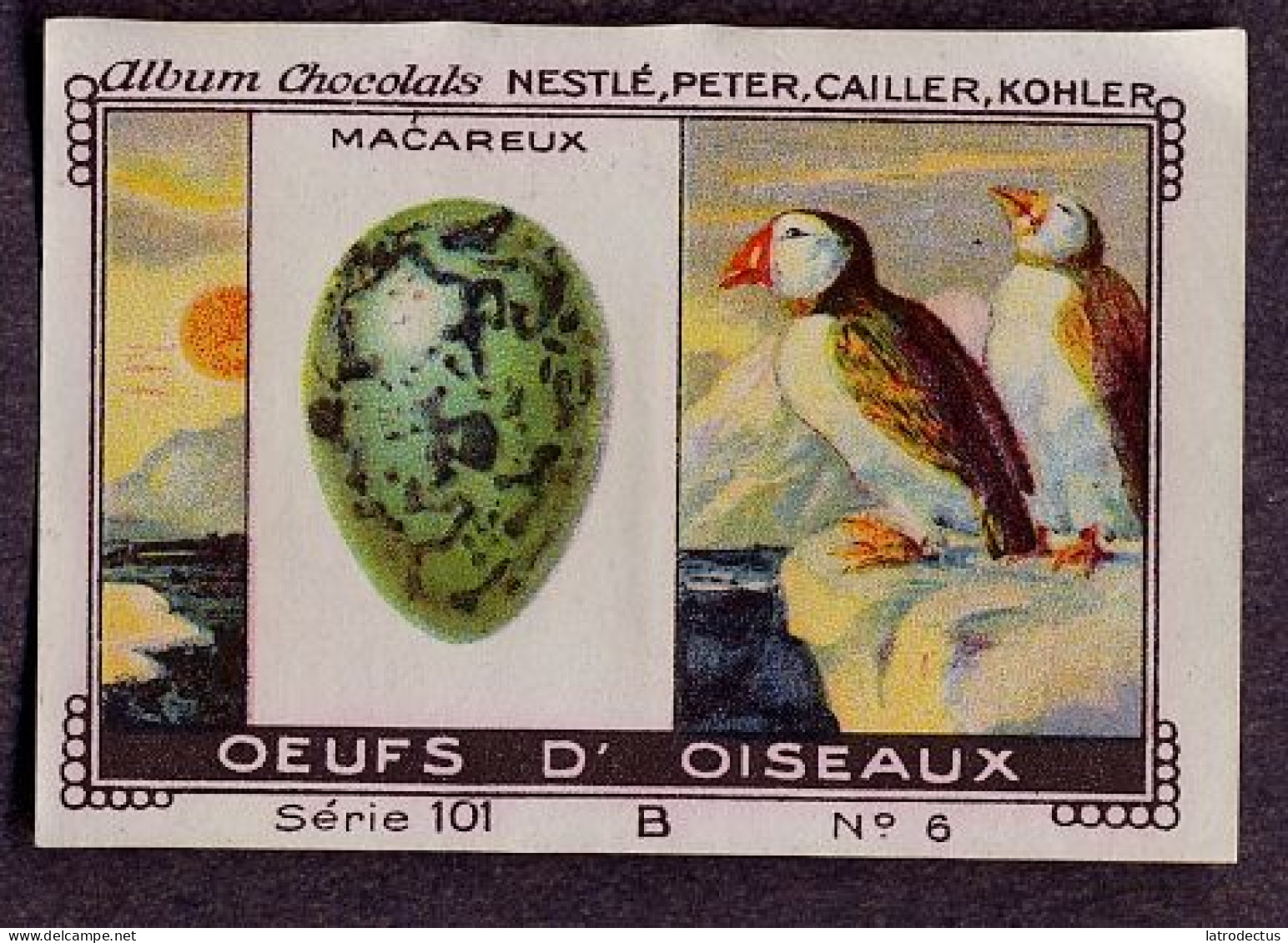 Nestlé - 101B - Oeufs D'oiseaux, Bird Eggs - 6 - Macareux, Puffin - Nestlé