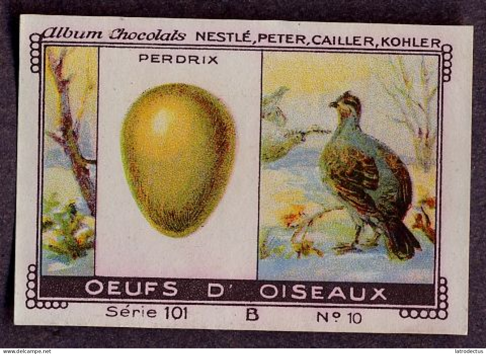 Nestlé - 101B - Oeufs D'oiseaux, Bird Eggs - 10 - Perdrix, Partridge - Nestlé