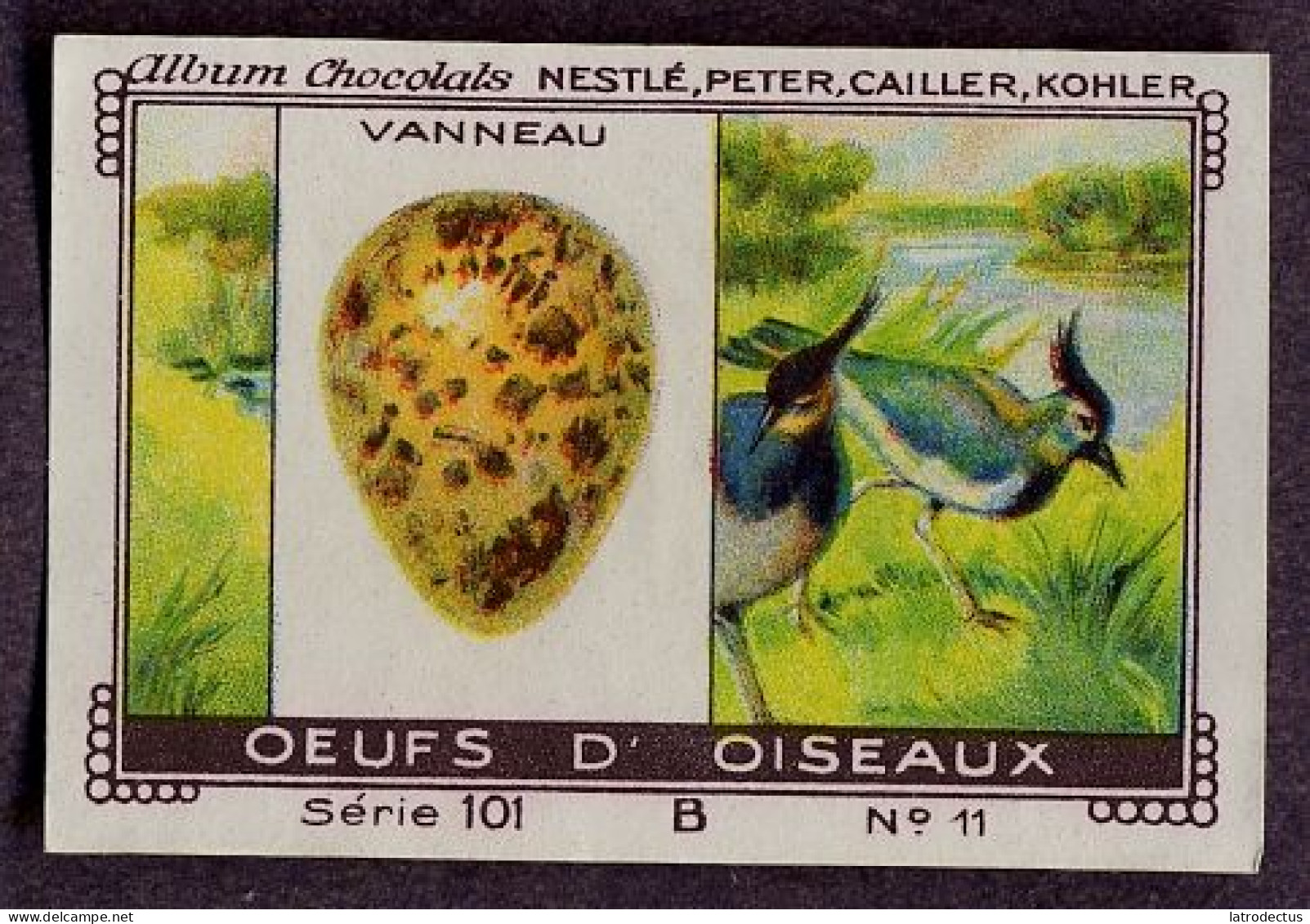 Nestlé - 101B - Oeufs D'oiseaux, Bird Eggs - 11 - Vanneau, Lapwing - Nestlé
