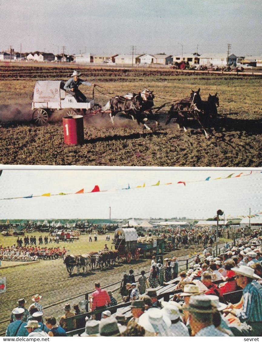 Pony Chuckwagon Racing And The Start Of The Daily Parade At Saskatoon's Pio-Era. -  Lot Of 2 Cards - Saskatoon