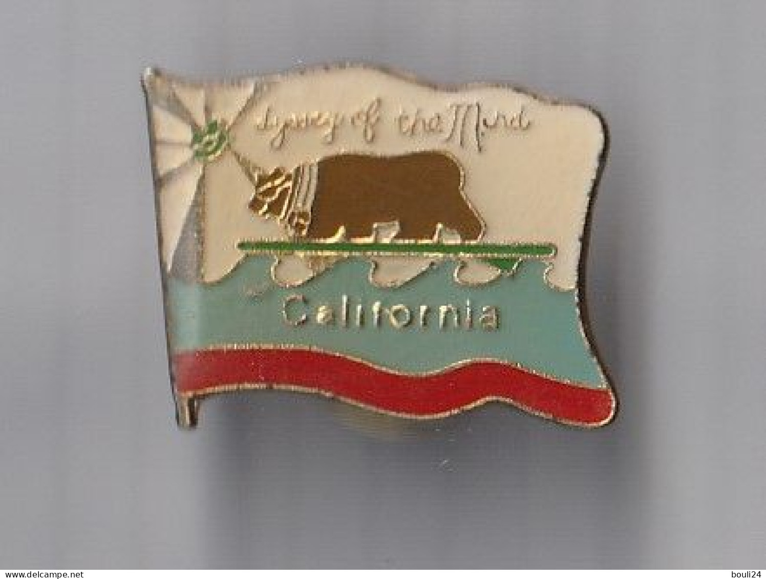 PIN'S THEMEVILLE CALIFORNIA  DISSEY OF THE MURD - Cities