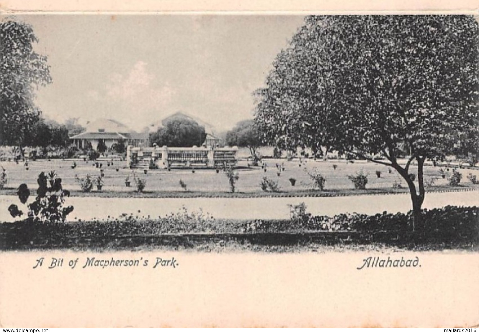 ALLAHABAD - PRAYAGRAJ, UTTAR PRADESH, INDIA - MACPHERSON'S PARK ~ A VINTAGE CARD #240319a - India