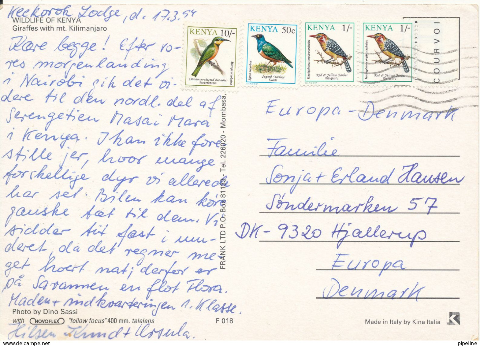 Kenya Postcard Sent To Denmark 17-3-1994 (Giraffes With Mt. Kilimanjaro) - Kenia