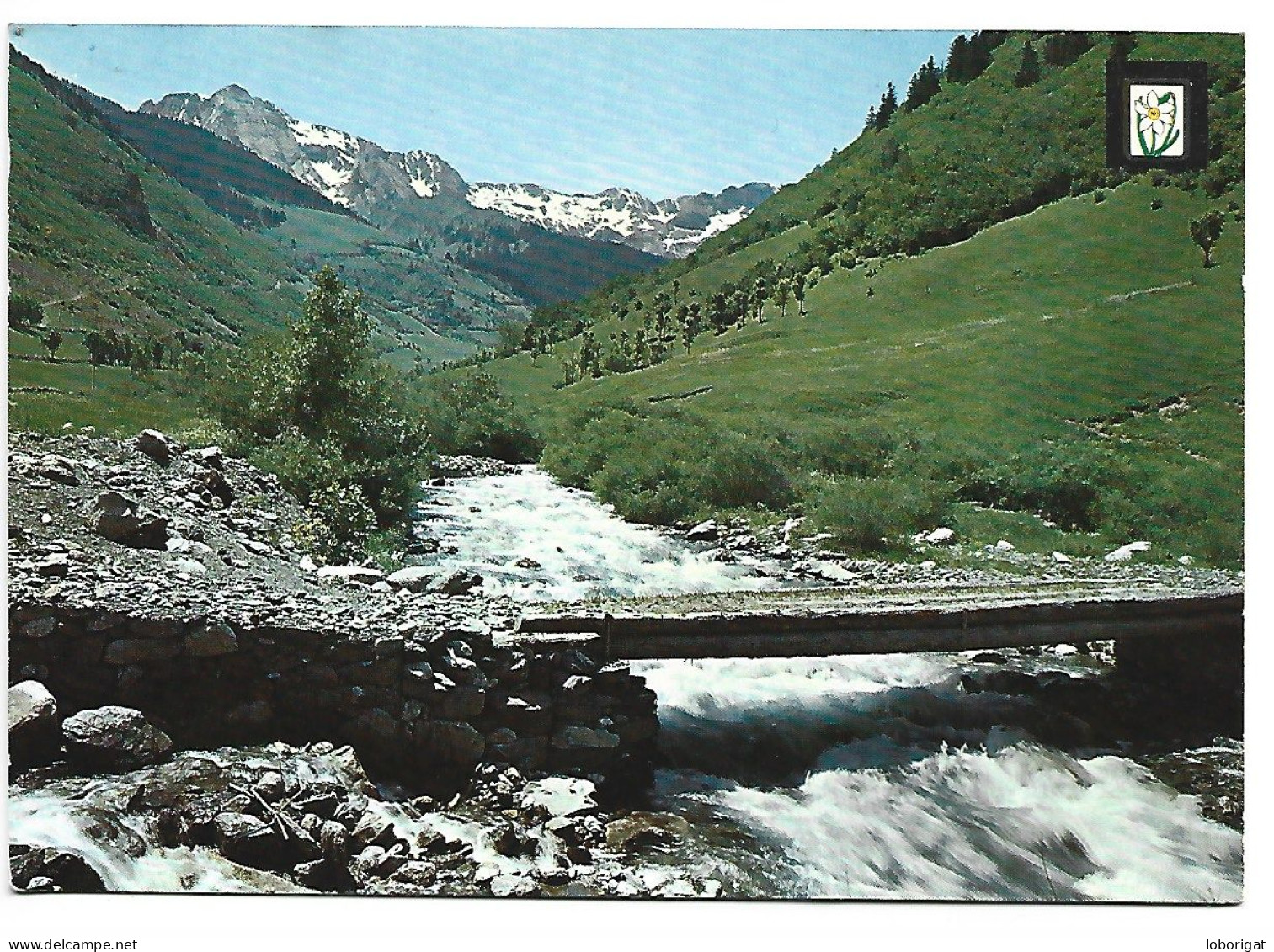 RIU NEGRE, VALLE DE ARAN, PIRINEOS CENTRALES.- VIELLA - LLEIDA.- ( CATALUNYA) - Lérida