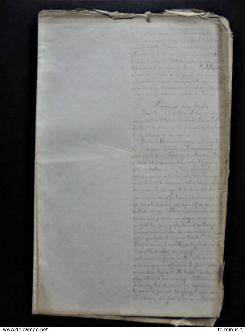 FROIDMONT, S.d. Psychiatrisch Verslag Désiré Leblois (moord Op Echtgenote Te Blaton) - Manuscrits