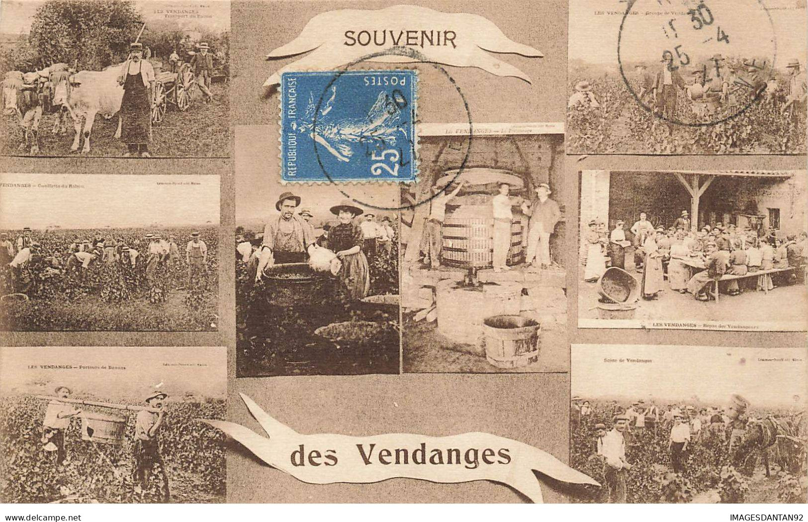METIERS AO#AL000826 SOUVENIR DES VENDANGES - Landbouwers
