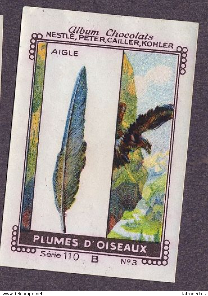 Nestlé - 110B - Plumes D'Oiseaux, Bird Feathers - 3 - Aigle, Eagle - Nestlé