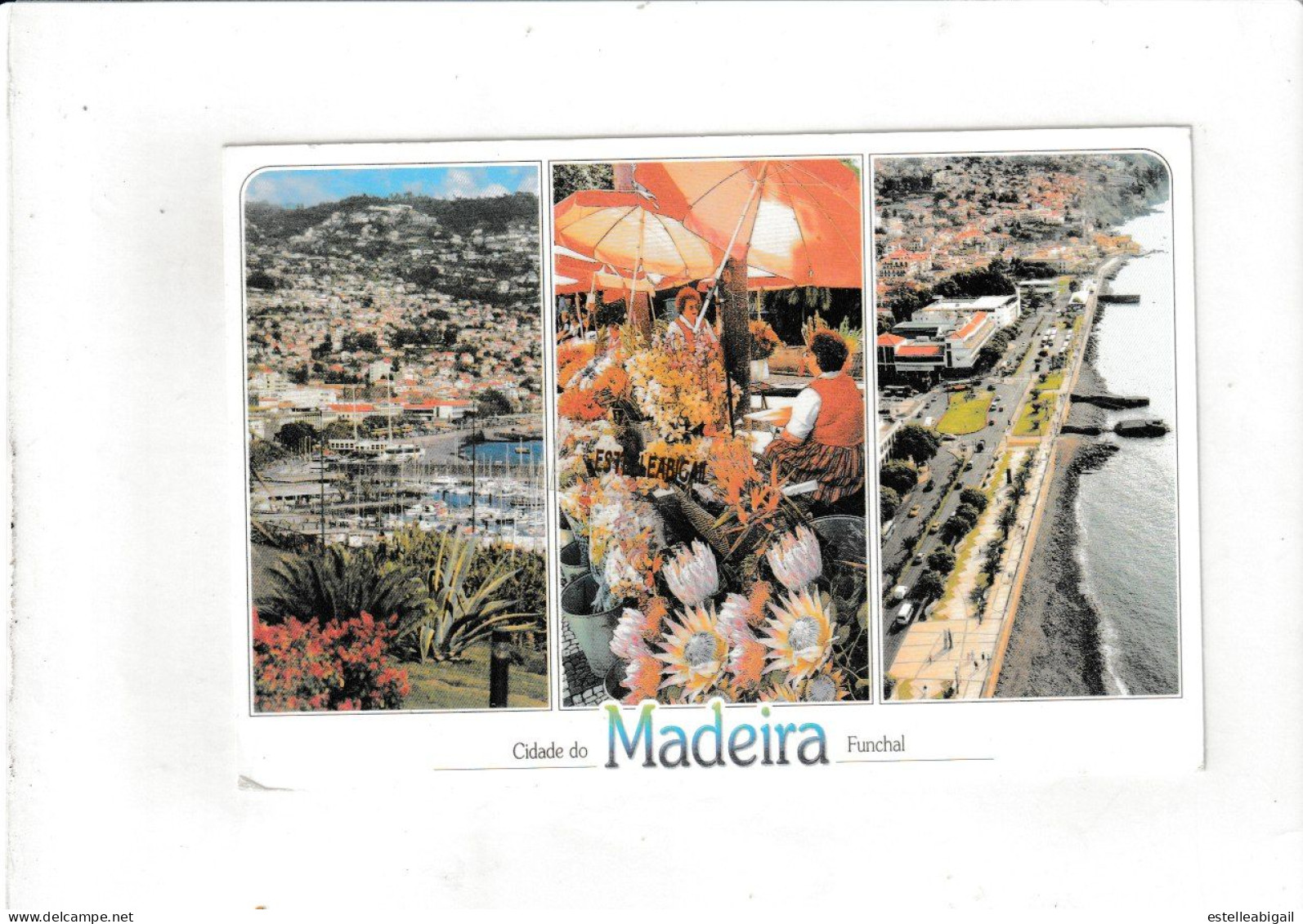 Madeira - Madeira