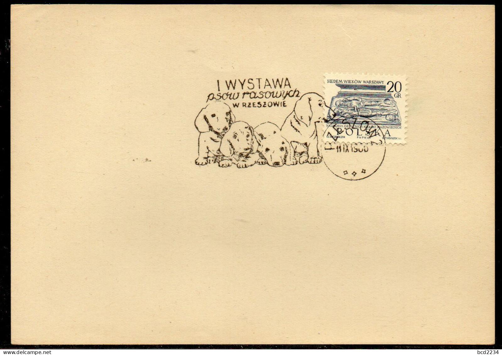 POLAND 1966 I PEDIGREE DOG SHOW RZESZOW CANCEL ON PAPER DOGS - Perros