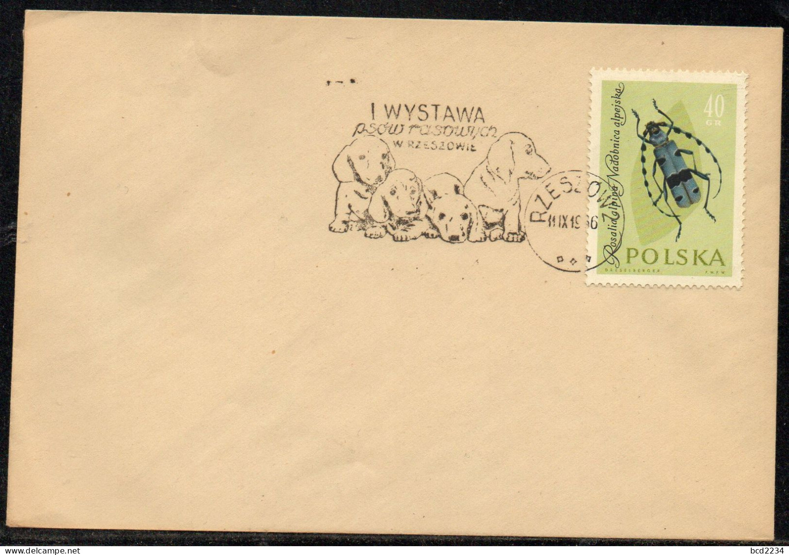POLAND 1966 I PEDIGREE DOG SHOW RZESZOW CANCEL ON COVER DOGS - Chiens