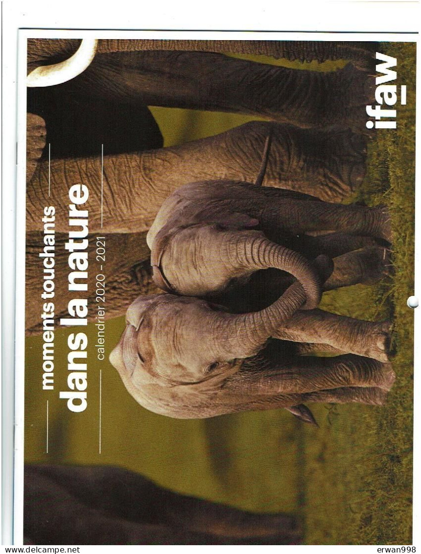 4 Calendriers 2020/21/22/23 De L'IFAW Sauvetage & Protection Animaux Sauvages Avec Photos D'animaux 14 Pages Chacun 937 - Tamaño Grande : 2001-...