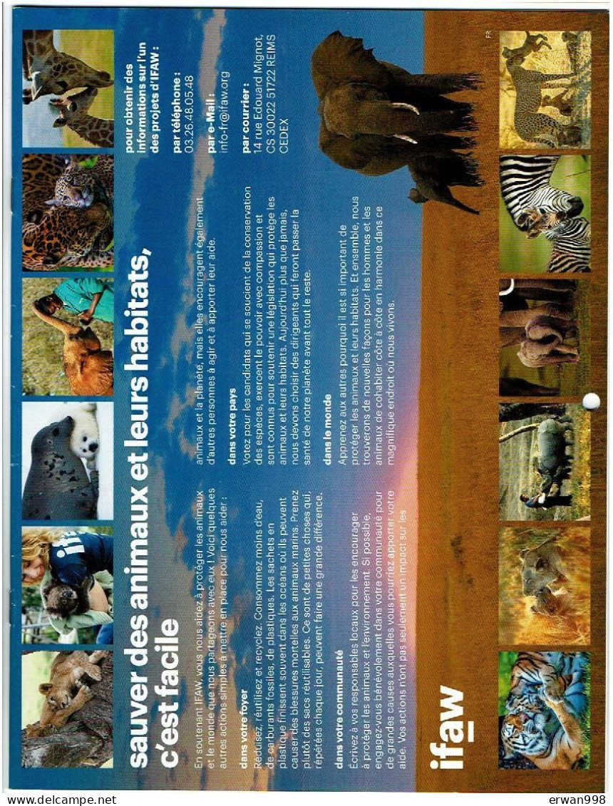 4 Calendriers 2020/21/22/23 De L'IFAW Sauvetage & Protection Animaux Sauvages Avec Photos D'animaux 14 Pages Chacun 937 - Grossformat : 2001-...