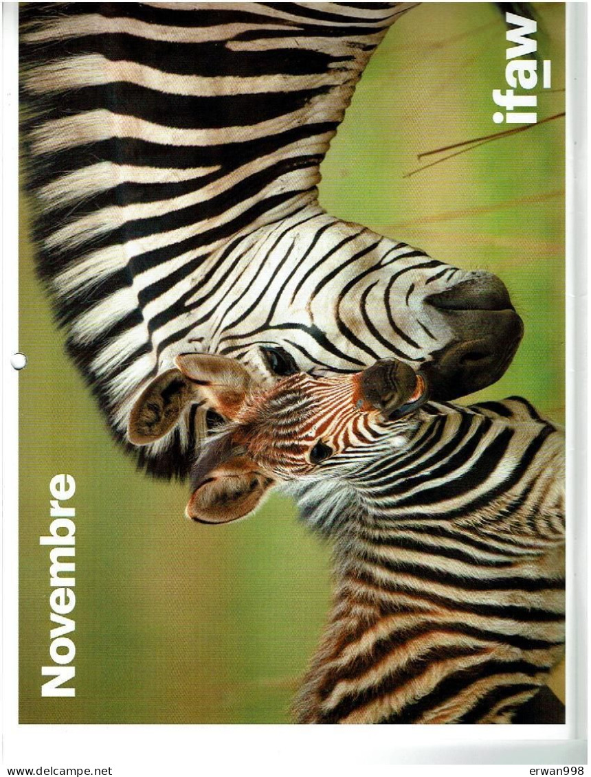 4 Calendriers 2020/21/22/23 De L'IFAW Sauvetage & Protection Animaux Sauvages Avec Photos D'animaux 14 Pages Chacun 937 - Grossformat : 2001-...