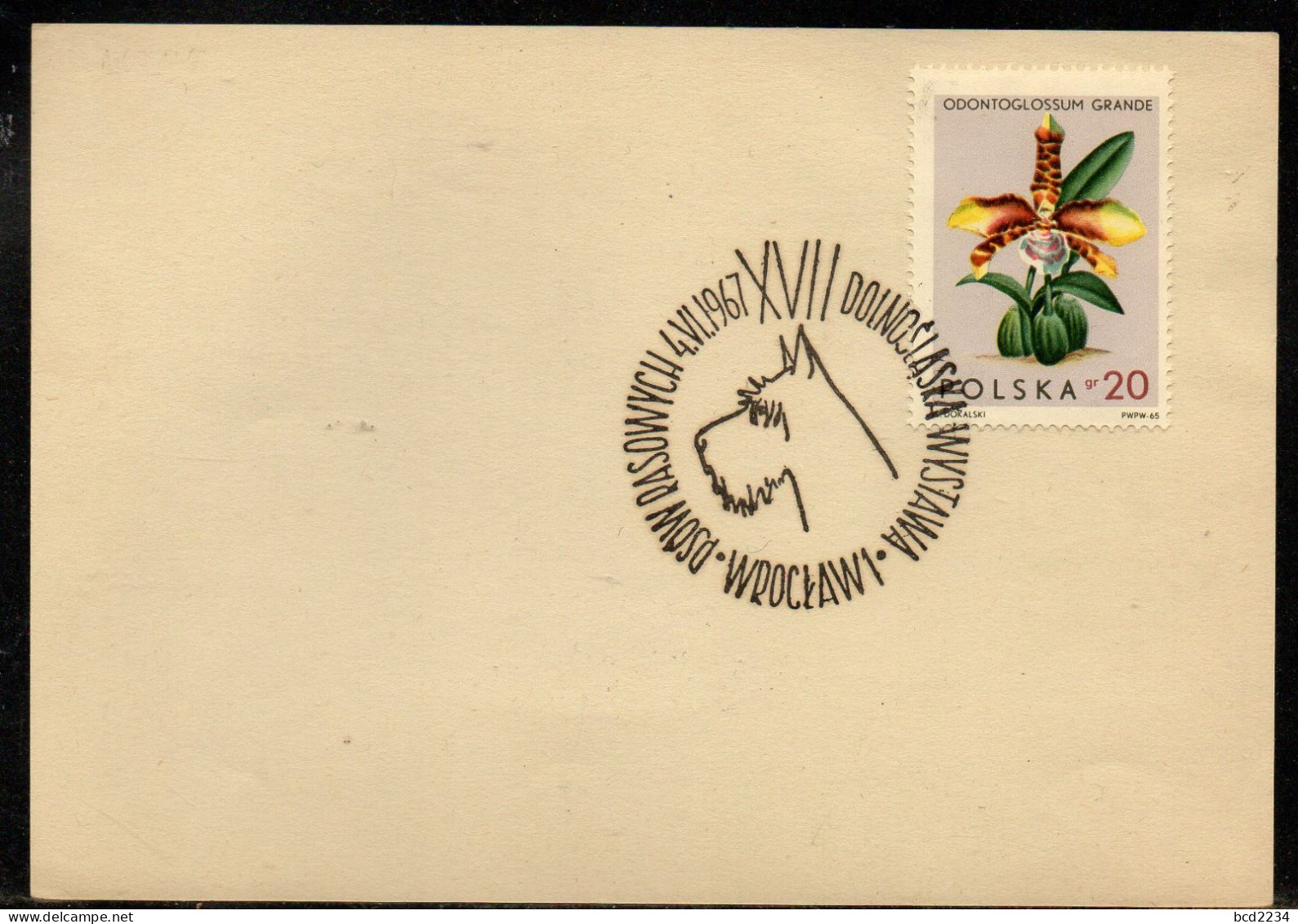 POLAND 1967 XVII LOWER SILESIA PEDIGREE DOG SHOW WROCLAW CANCEL ON PAPER DOGS TERRIER - Dogs