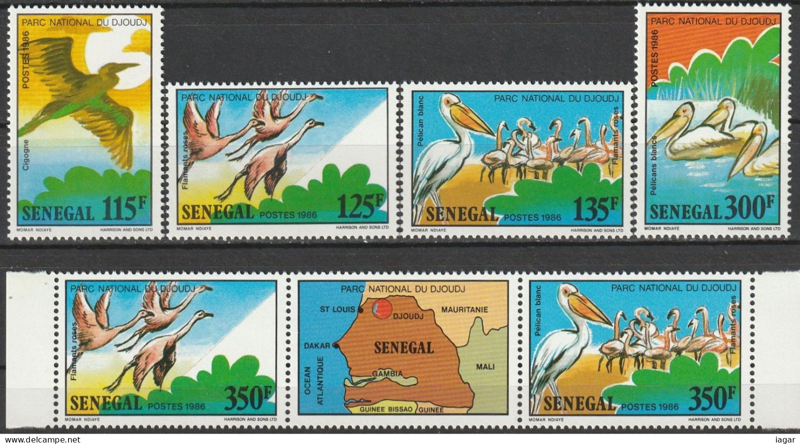 THEMATIC FAUNA:  BIRDS OF THE DJOUDJ PARK.  STORK IN FLIGHT, PINK FLAMINGOS, WHITE PELICANS SWIMMINGS ETC.   -   SENEGAL - Picotenazas & Aves Zancudas