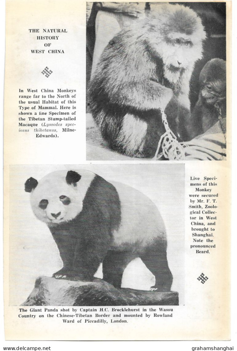 Magazine article 'China Journal' 1937 "Natural history of West China" geography flora fauna animals pandas 中国