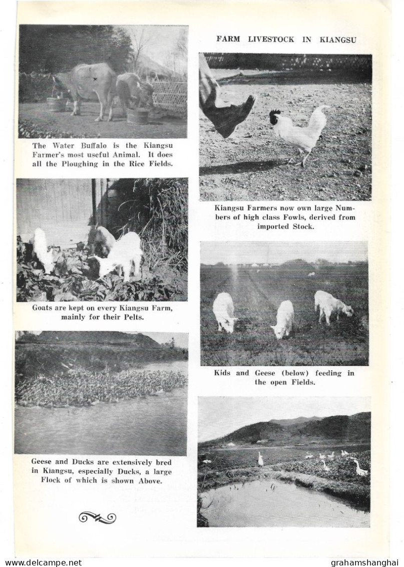 Magazine article 'China Journal' 1937 "Rural life in southern Kiangsu" by Rewi Alley Jiangsu province 中国江苏