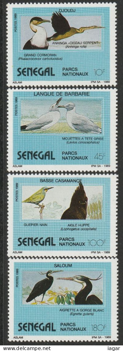 THEMATIC FAUNA:  BIRDS OF NATIONAL PARKS.  ANHINGA RUFA, MOUETTES, AIGLE HUPPE, AIGRETTE A GORGE BLANC   -   SENEGAL - Altri & Non Classificati