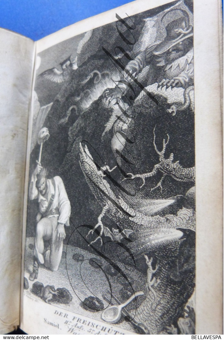 Orphea Taschenbuch -jahres 1824-   376 Pages Mit Acht Kupher Gravures Nach H.Ramberg 1 Jarhgang - Old Books