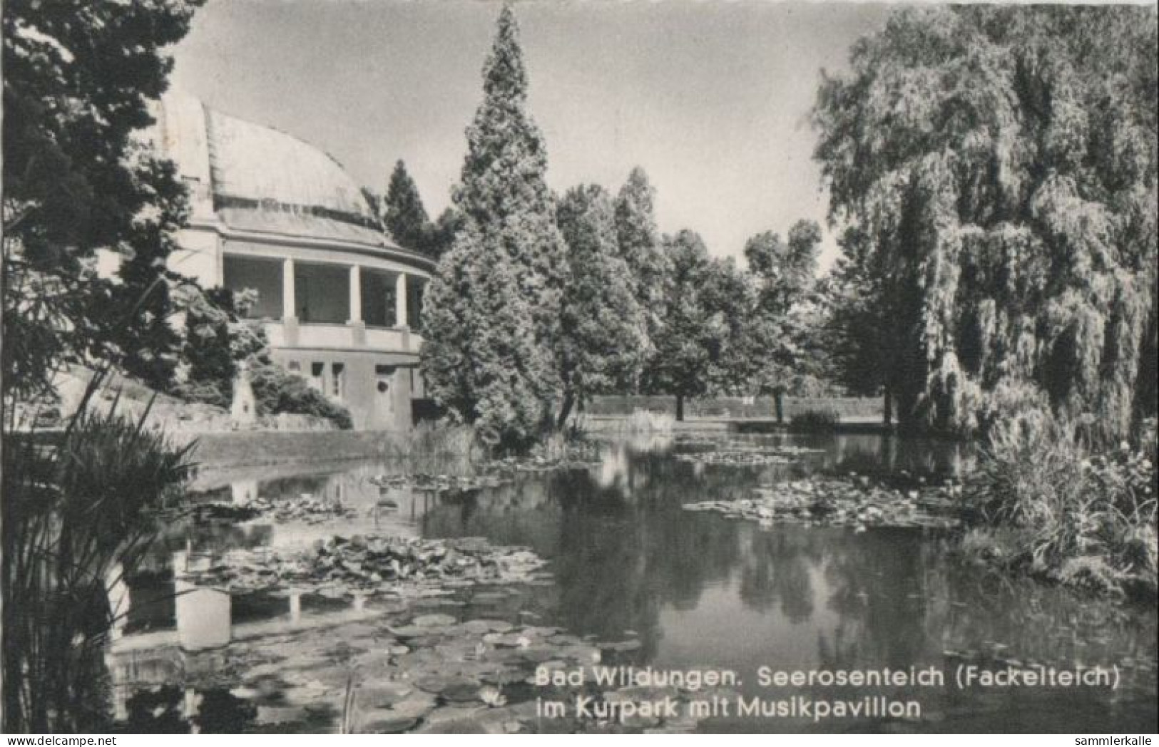 40959 - Bad Wildungen - Seerosenteich - 1958 - Bad Wildungen