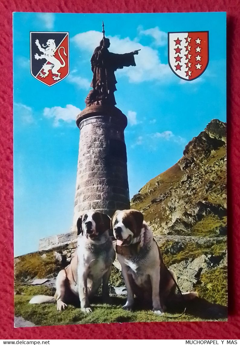 POSTAL POST CARD ITALIA ITALY VALLE DE AOSTA VALICO GRAN SAN BERNARDO..VALLEY..PERROS DOGS..TAMPÓN/SELLO DE HOSPICE... - Autres & Non Classés