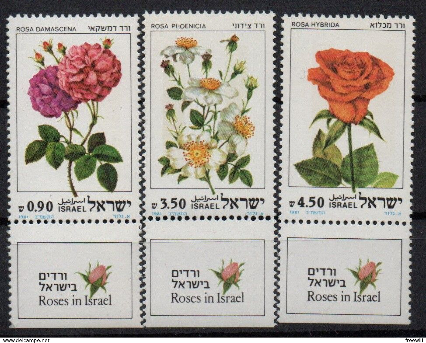 Israël 1981 Fleurs , Flowers   MNH - Nuovi (con Tab)