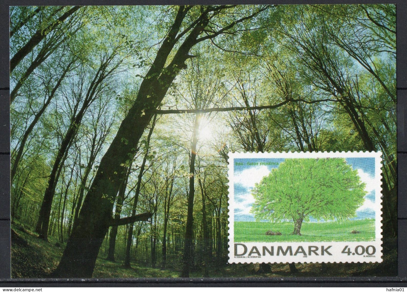 Martin Mörck. Denmark 1999. Native Trees. Michel 1199 Prestamped Card. Signed. - FDC