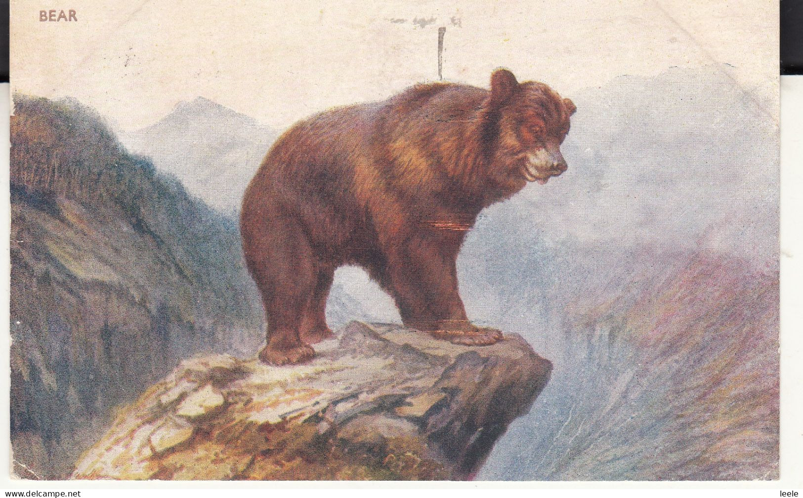 CO99. Vintage Postcard.  Bear On A Mountain Top. - Ours