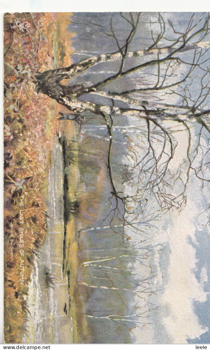 CO69. Vintage Tucks Postcard. Silver Birches. The Last Smiles Of Autumn. J Thomson - Bäume