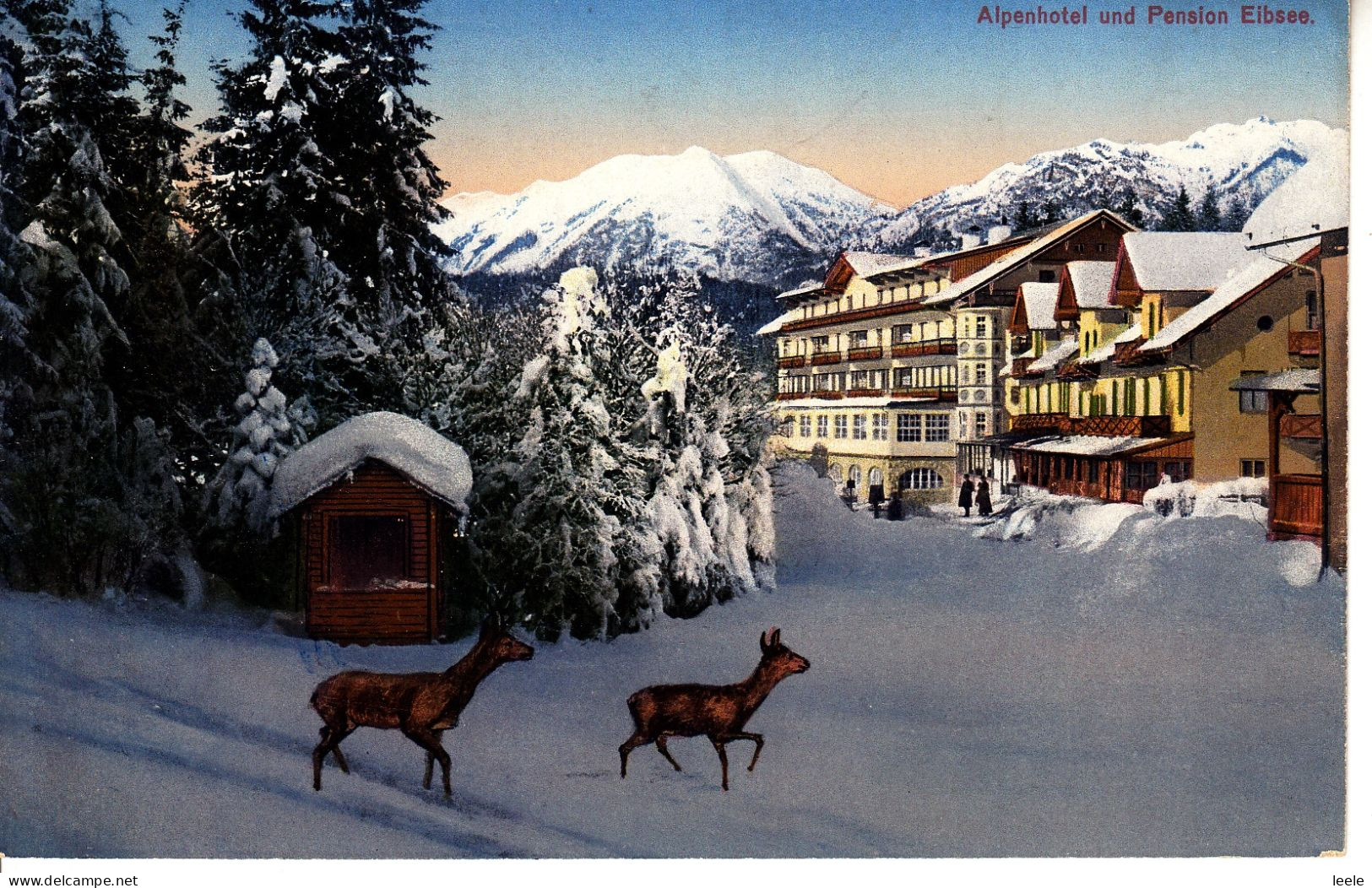 CO89. Vintage German Postcard. Alpen Hotel, Eibsee. Deer In The Snow. - Other & Unclassified