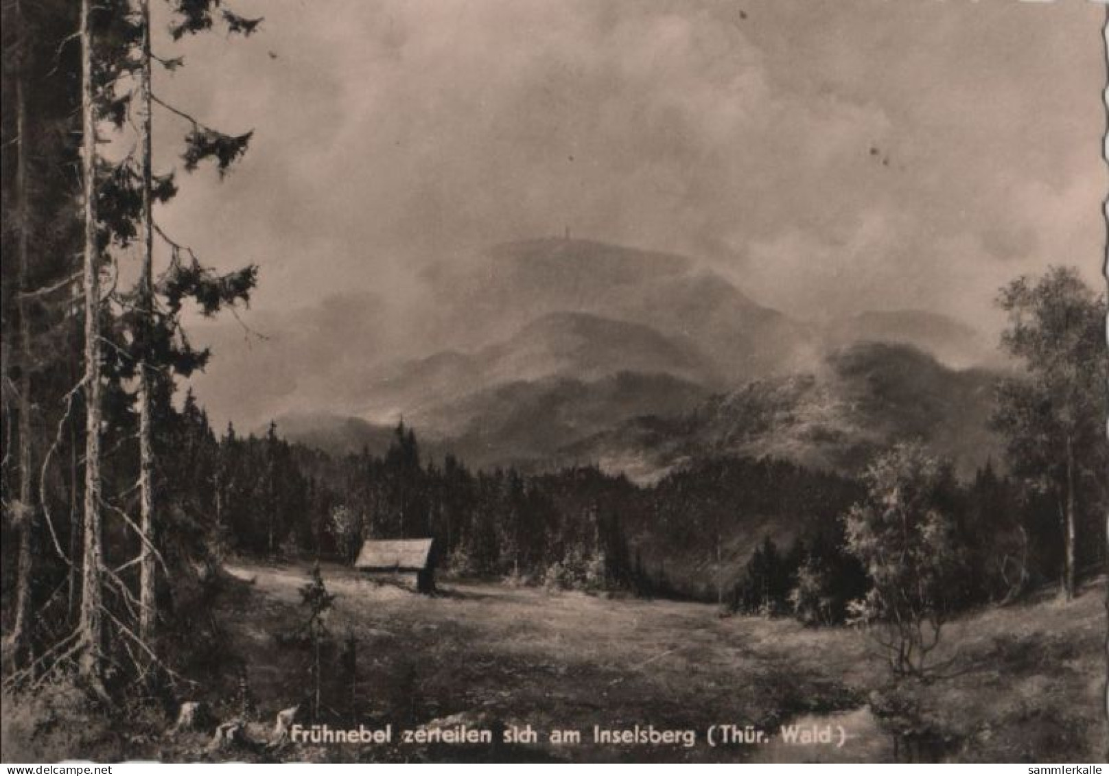 83308 - Inselsberg - Frühnebel Zerteilen Sich - 1964 - Sonstige & Ohne Zuordnung