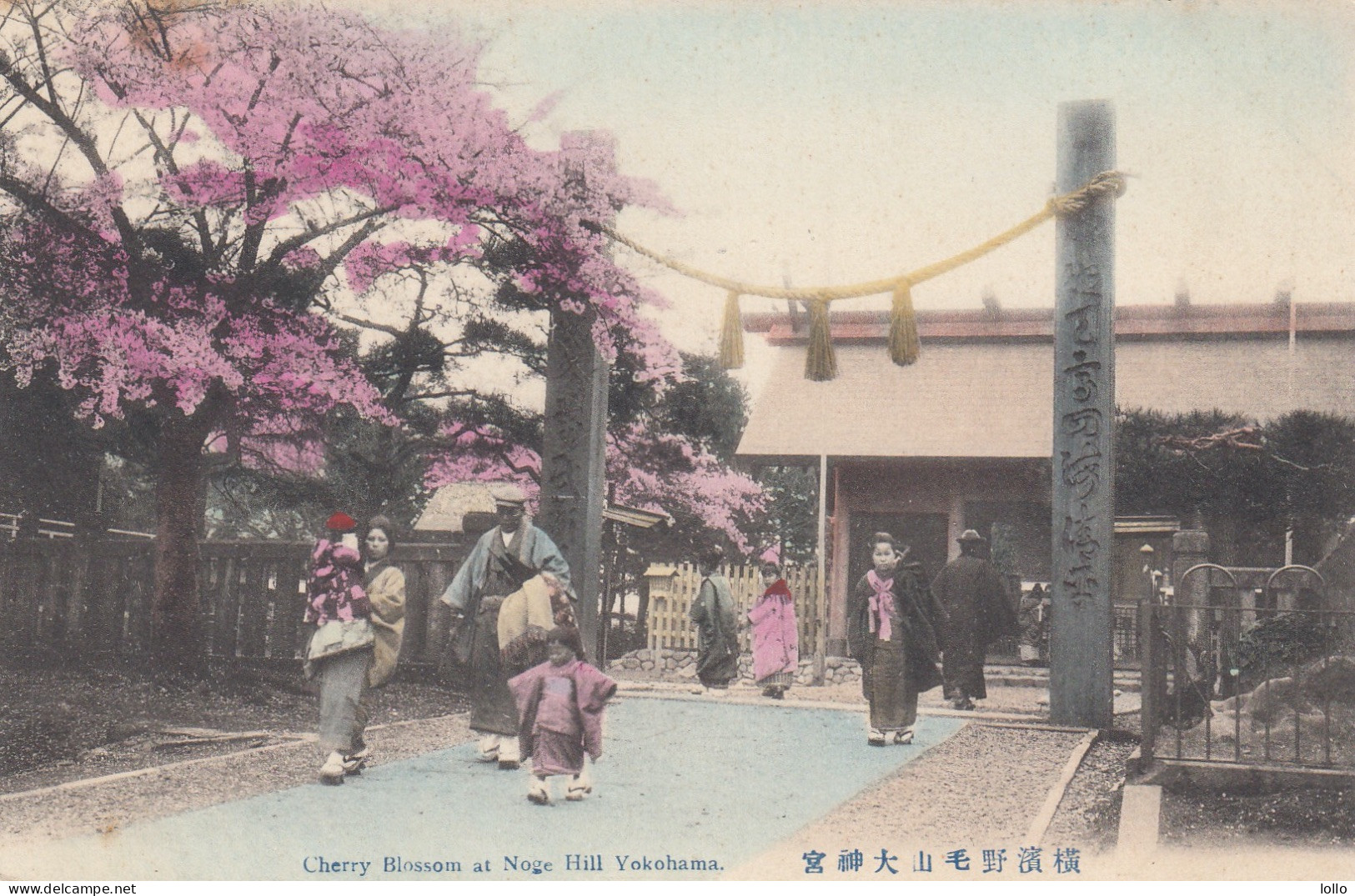 Giappone    -  Yokohama  - Cherry Blossom At Nage Hill -  F. Piccola  -  Nuova  -  Molto Bella Animata - Yokohama