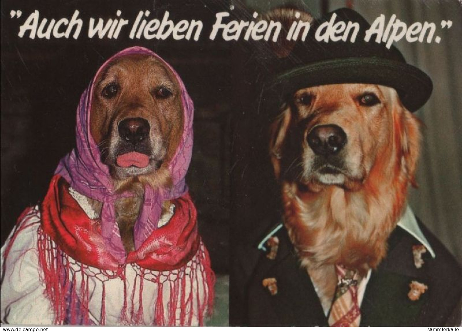 82599 - Alpen - Auch Wir Lieben Ferien - 1989 - Otros & Sin Clasificación