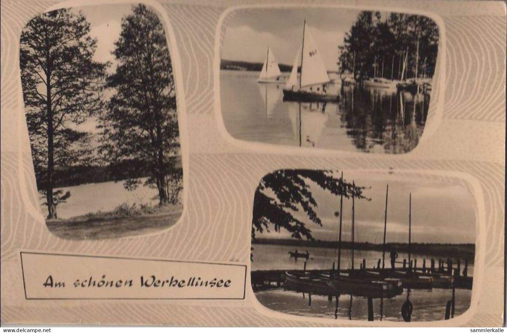 33720 - Werbellinsee - Mit 3 Bildern - 1962 - Andere & Zonder Classificatie