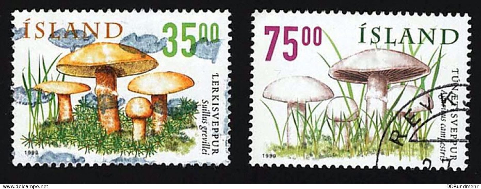 1999 Mushrooms Michel IS 915 - 916 Stamp Number IS 881 - 882 Yvert Et Tellier IS 868 - 869 Used - Oblitérés