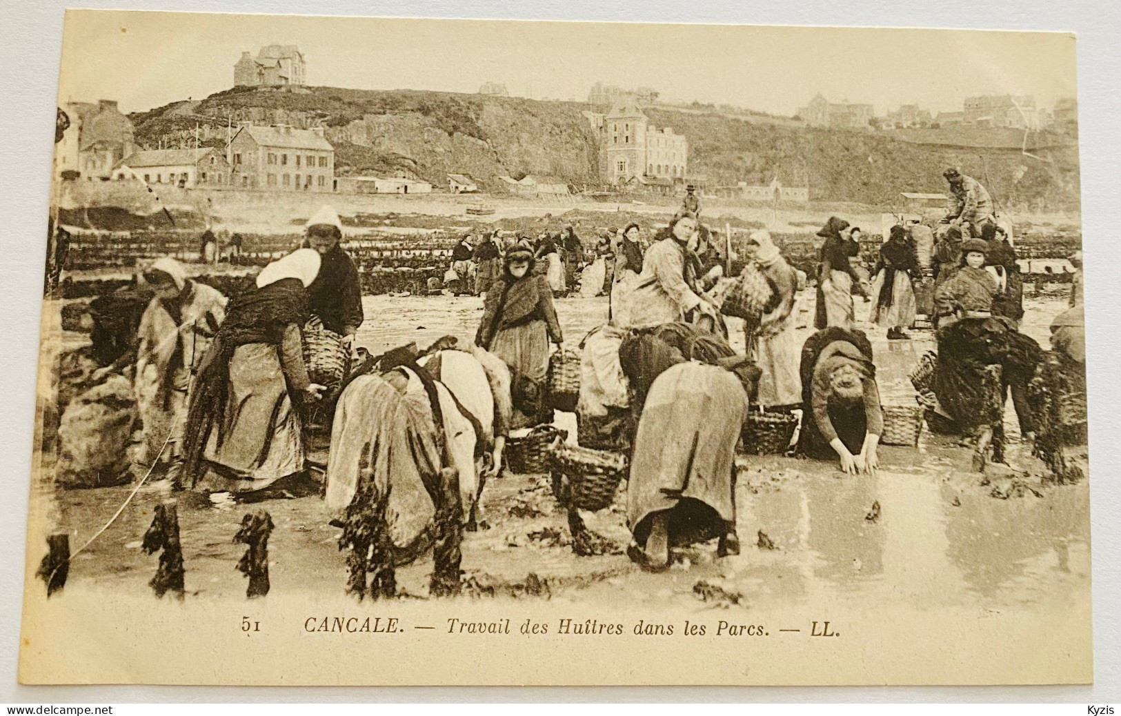 CPA - CANCALE. Travail Des Huîtres Dans Les Parcs. Métiers De La Mer 1912 - Cancale