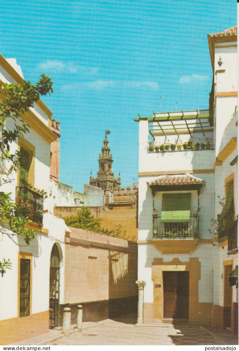 (SEV705) SEVILLA . JUDERIA. CALL DES JUIFS ... UNUSED - Sevilla