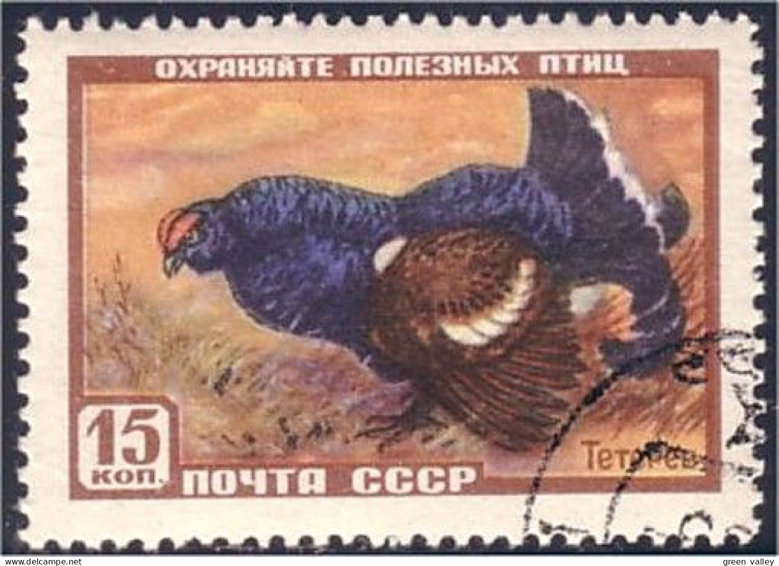 773 Russie Chicken Poulet Coq Cock Rooster Huhn (RUK-28) - Gallinaceans & Pheasants