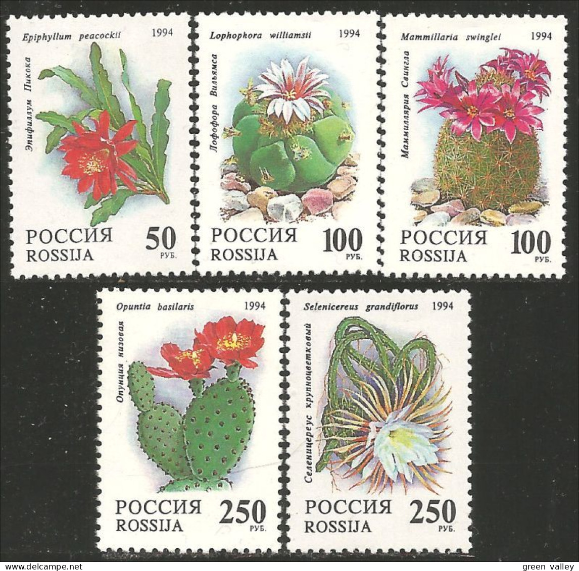 774 Russie Fleurs Flowers Cactus Cactii MNH ** Neuf SC (RUS-62) - Cactussen
