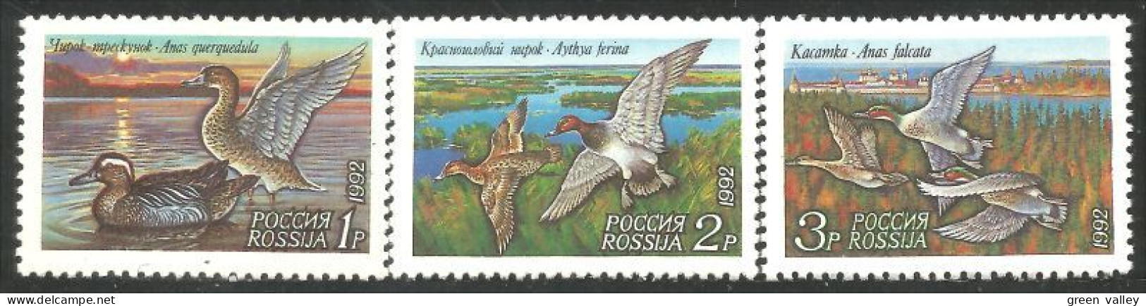 774 Russie Canards Ducks Ente Anatra Pato Eend MNH ** Neuf SC (RUS-30) - Nuovi